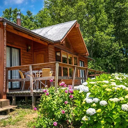 Cabanas Copayapu Pucon Exterior photo