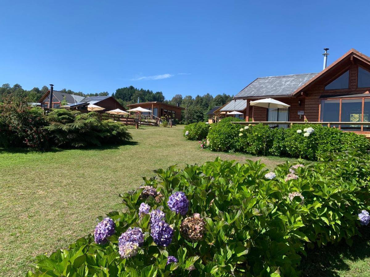 Copayapu Holiday home Pucon